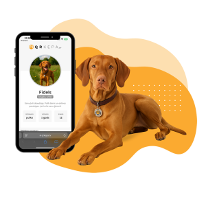 Pirmais solis - Aktivizē piekariņu