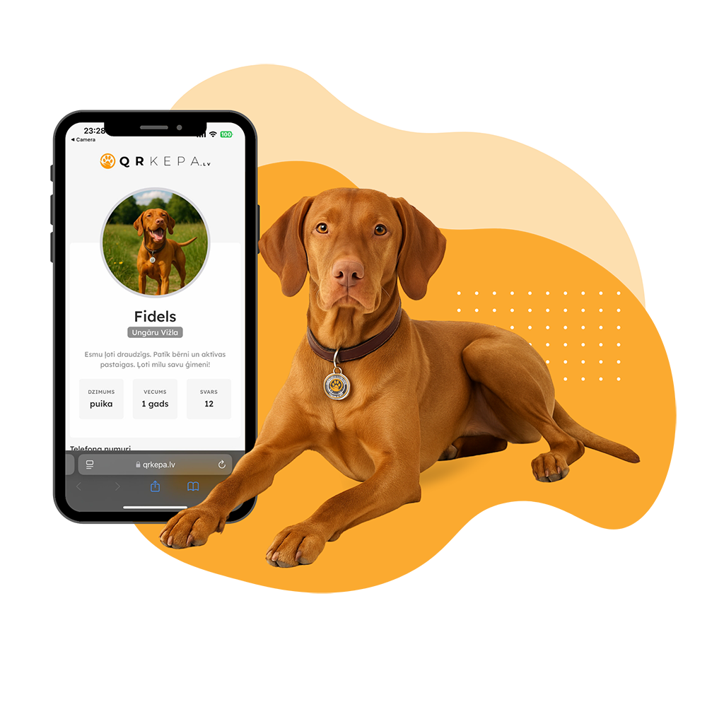 Pirmais solis - Aktivizē piekariņu