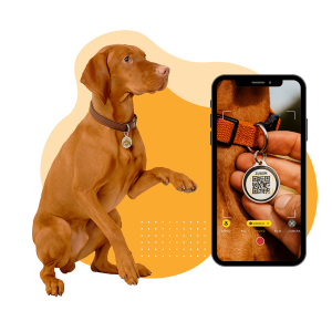 Otrais solis - Ja mīlulis apmaldās