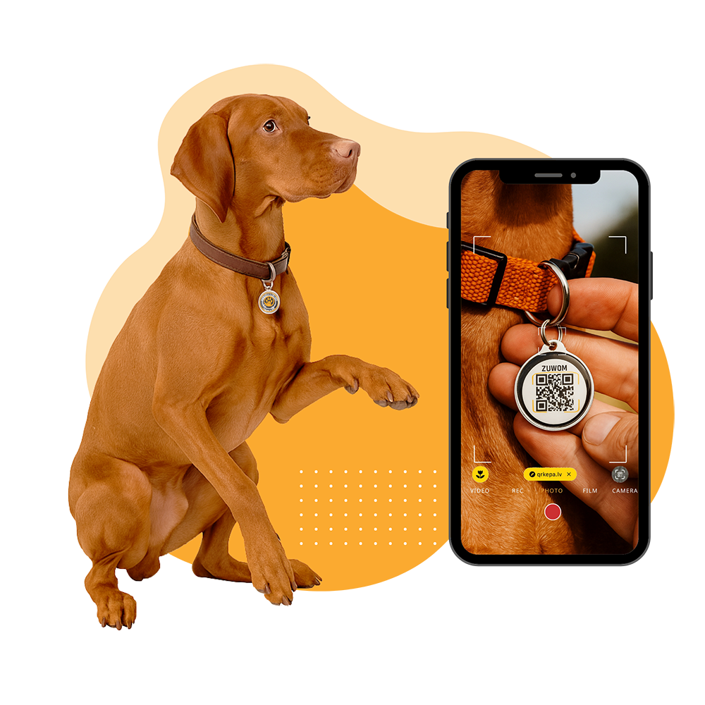 Otrais solis - Ja tavs mīlulis apmaldās