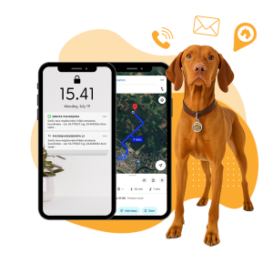 Trešais solis - Tūlītēja saziņa