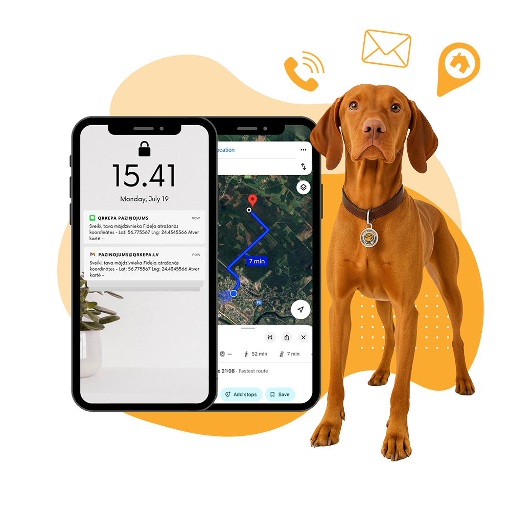 Trešais solis - Tūlītēja saziņa