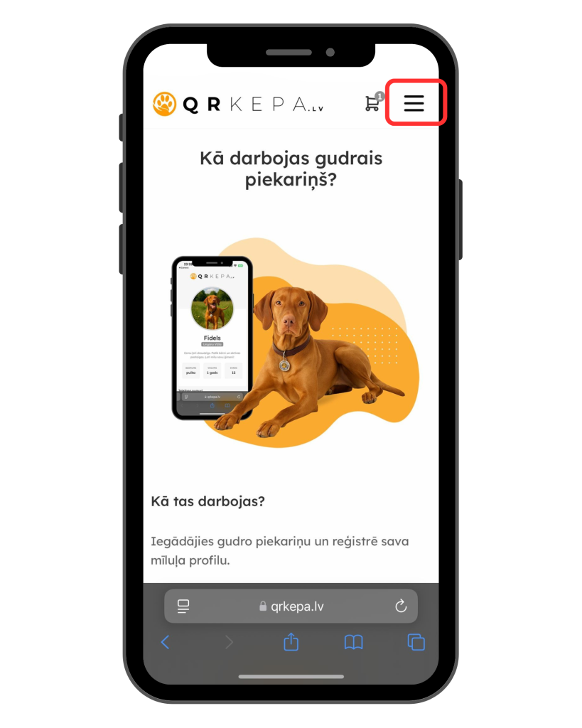1. Solis Kā pieslēgties QR Ķepas profilam?